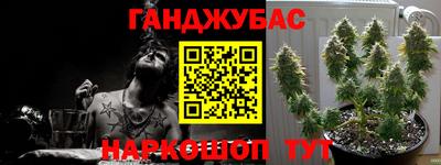 индика Гусев
