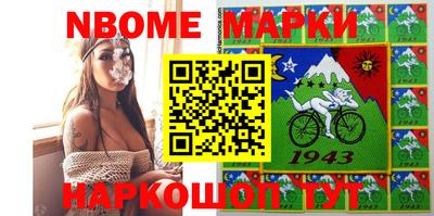 индика Гусев