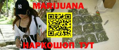 индика Гусев