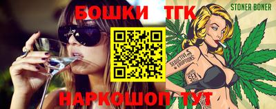 индика Гусев