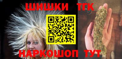 индика Гусев