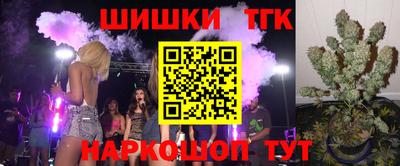 индика Гусев