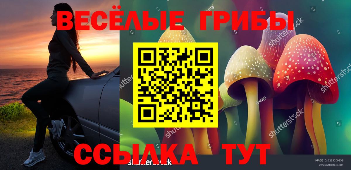 купить наркотики цена  Вход с VPN  Куйбышев  Псилоцибиновые грибы Cubensis 