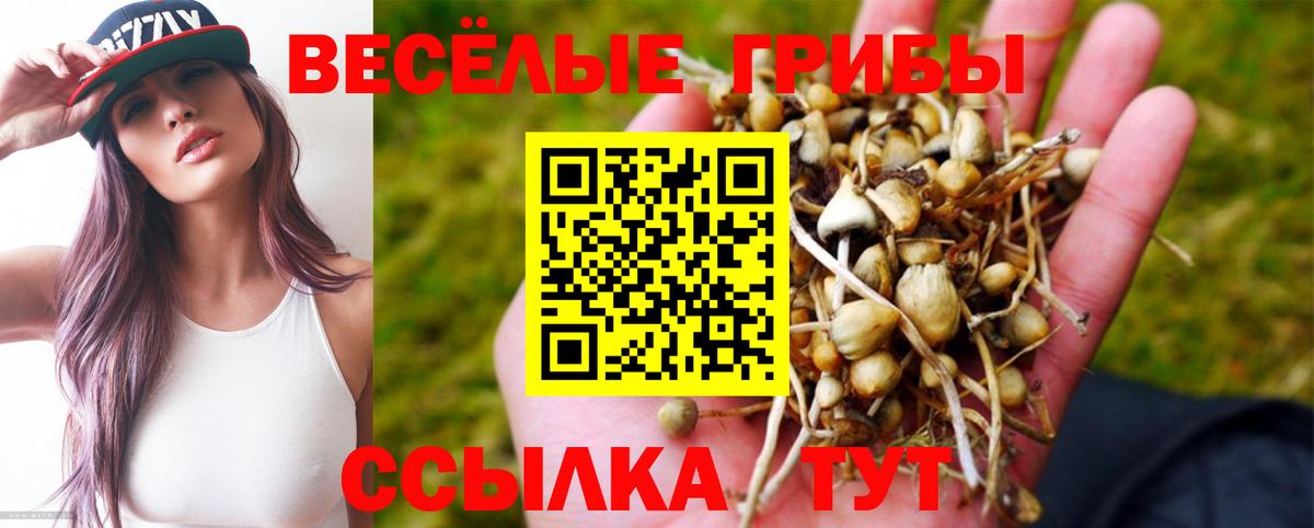 Псилоцибиновые грибы Magic Shrooms Куйбышев